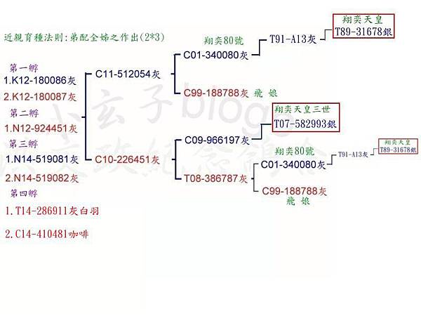 ex16(1) ex16(1)