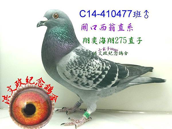 410477 410477
