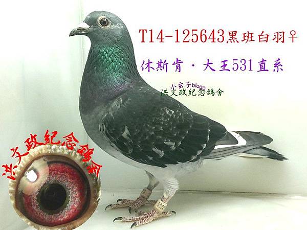 125643 125643