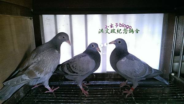 IMAG1014.jpg IMAG1014.jpg