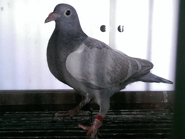 71 71