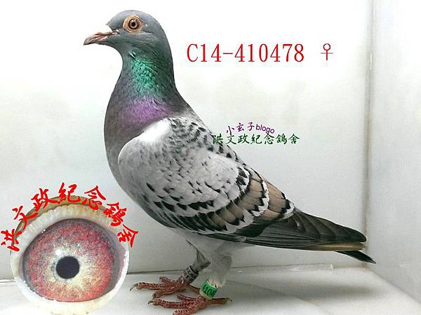 410478 410478