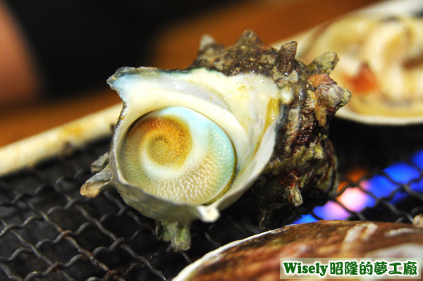 烤貝殼 烤貝殼