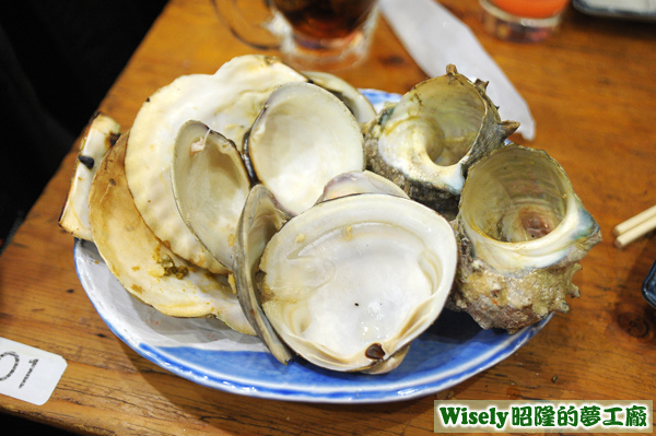 貝殼 貝殼