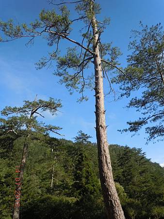 DSCN1836.JPG DSCN1836.JPG