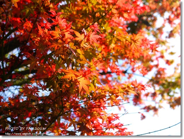 台北陽明山 台北陽明山