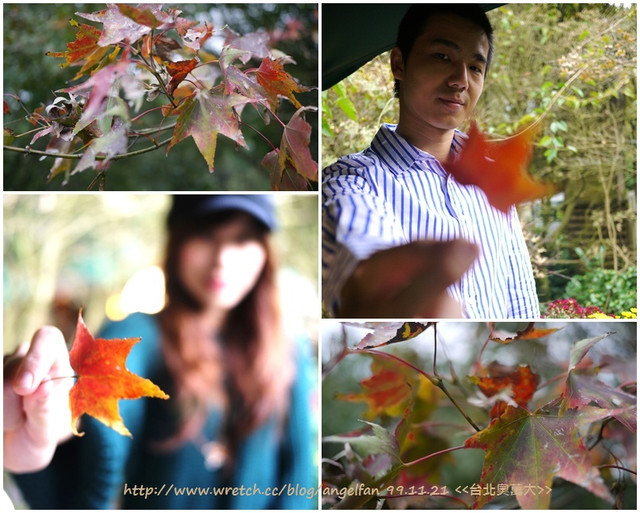 台北奧萬大 台北奧萬大