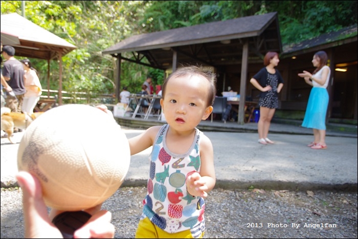 IMGP9411.JPG IMGP9411.JPG