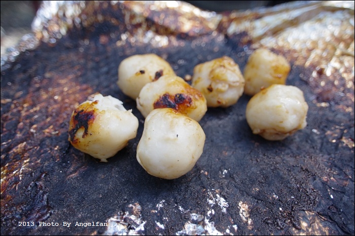 IMGP9441.JPG IMGP9441.JPG