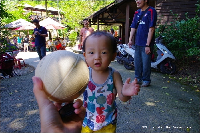 IMGP9488.JPG IMGP9488.JPG