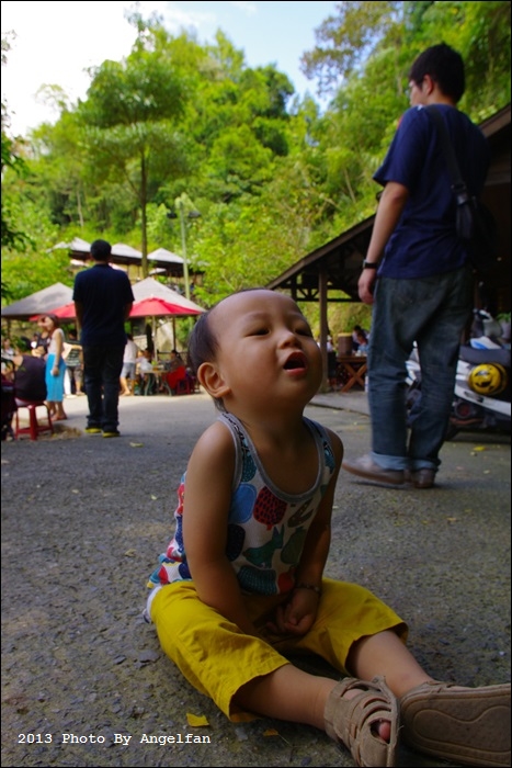 IMGP9502.JPG IMGP9502.JPG