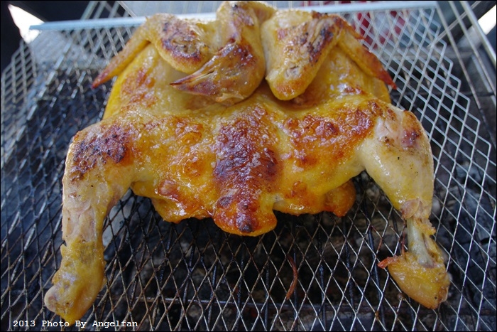 IMGP9513.JPG IMGP9513.JPG