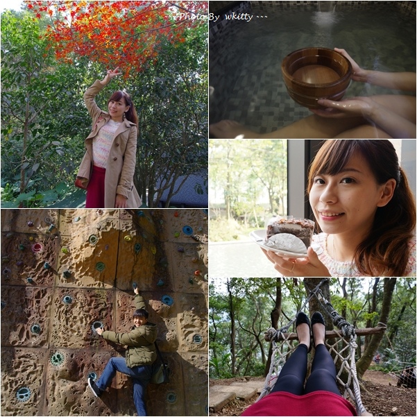 三峽大板根 三峽大板根