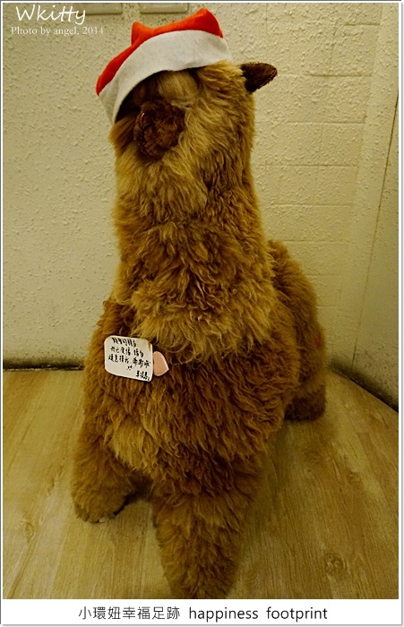 DSC00996.JPG DSC00996.JPG