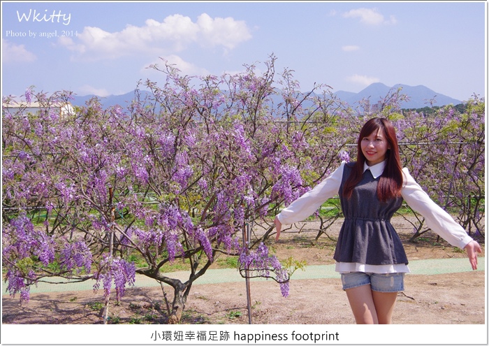 淡水紫藤咖啡園 淡水紫藤咖啡園