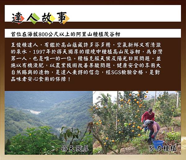 101年阿里山黃金茂谷柑 101年阿里山黃金茂谷柑