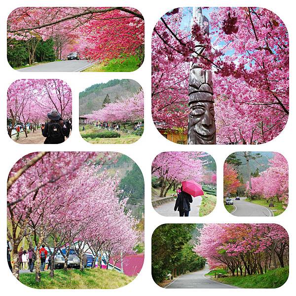 Picnik 拼貼 1 Picnik 拼貼 1