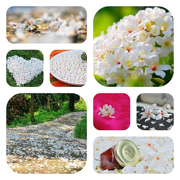 Picnik 拼貼 Picnik 拼貼