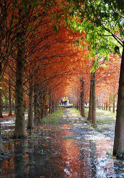 nEO_IMG_19.jpg nEO_IMG_19.jpg