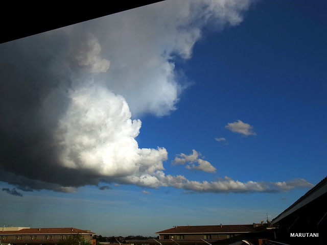 R0012448-001 R0012448-001
