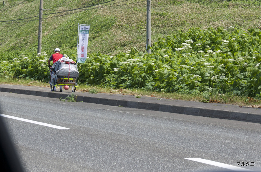 DSC00438 DSC00438