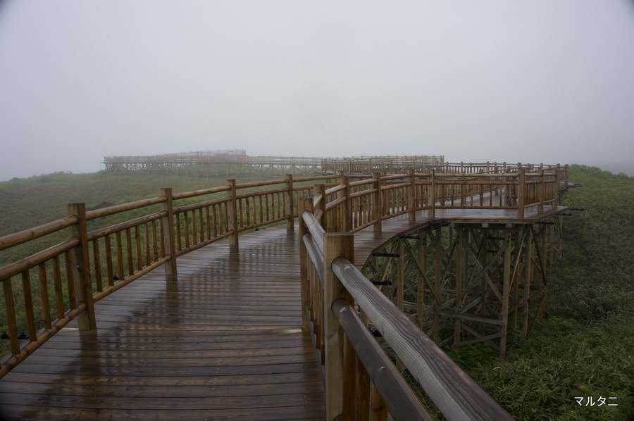 DSC00878 DSC00878