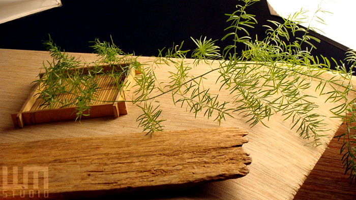 赫得攝影_39 赫得攝影_39