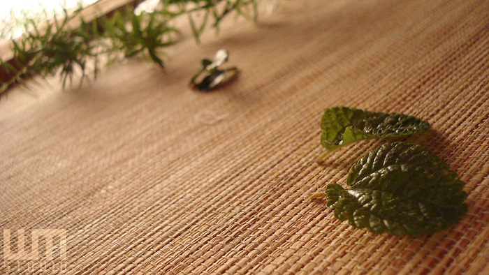 赫得攝影_40 赫得攝影_40