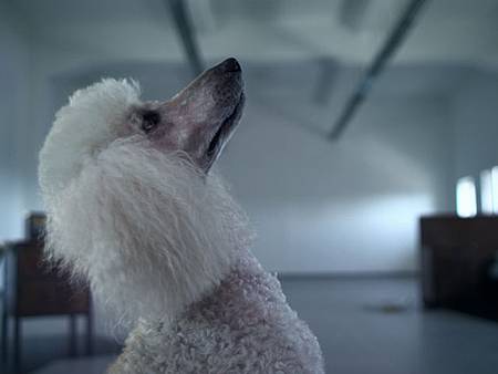 《Black & White Rule》