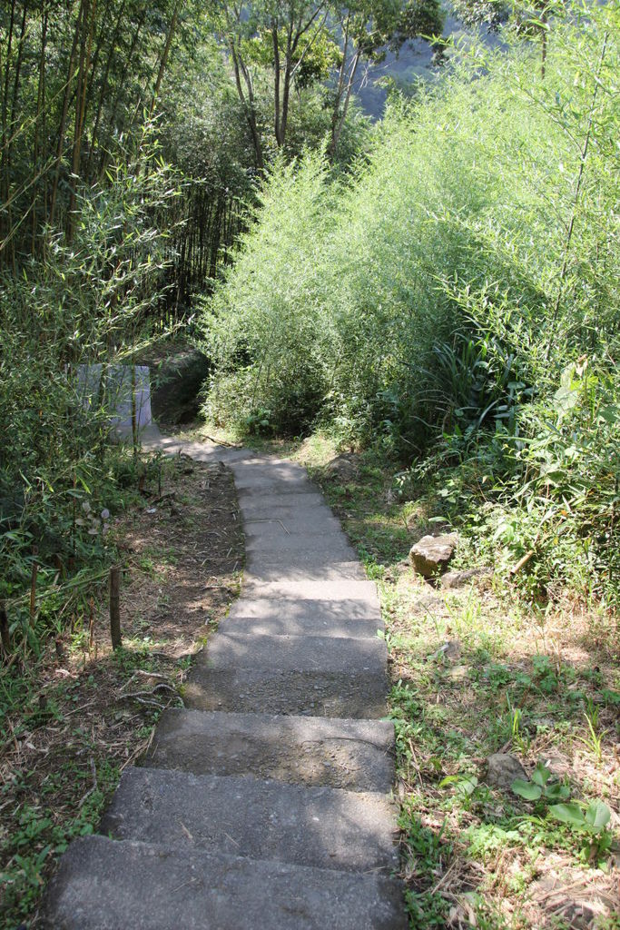 1 1