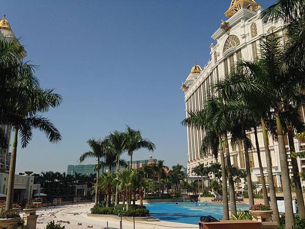 IMG_6445.JPG IMG_6445.JPG