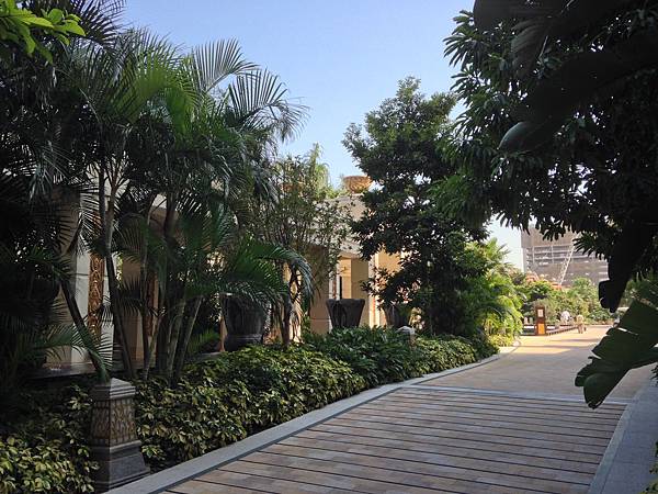 IMG_6451.JPG IMG_6451.JPG