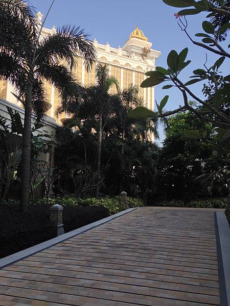 IMG_6455.JPG IMG_6455.JPG