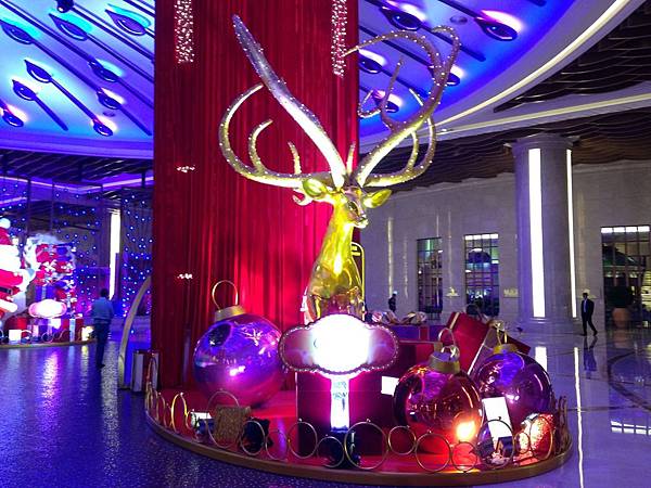 IMG_6665.JPG IMG_6665.JPG