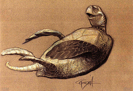 carter goodrich from wolfysita