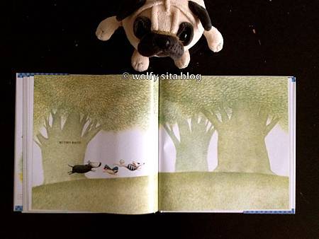 Zorro Gets An Outfit from wolfysita