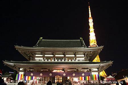 tokyo @ wolfy sita 11-1.jpg