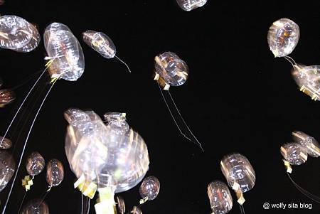 tokyo @ wolfy sita 22.jpg