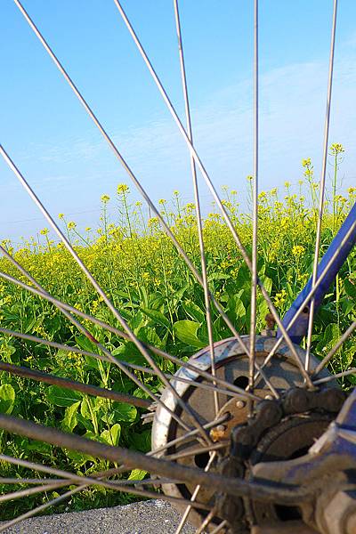 P1130405.JPG P1130405.JPG