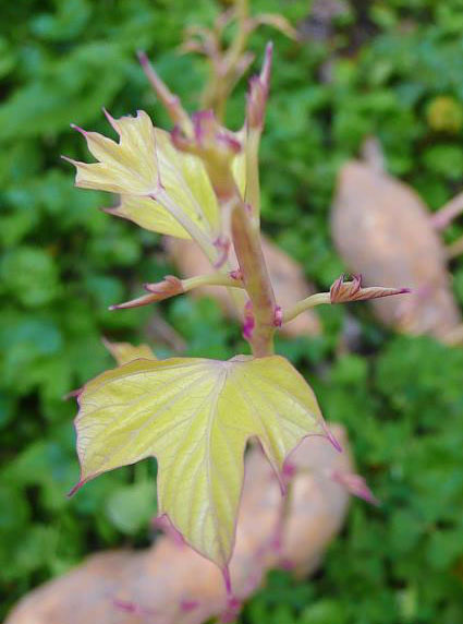 304130_215865505151469_922531179_n