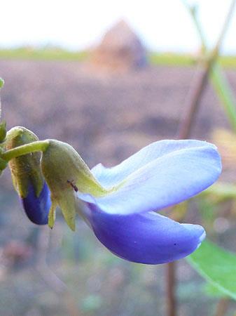 488265_375442085860476_791193712_n 488265_375442085860476_791193712_n