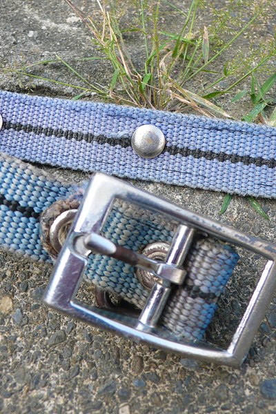 559550_4376899753813_1843105481_n