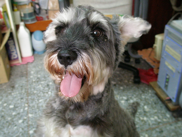 愛笑的樂樂 愛笑的樂樂