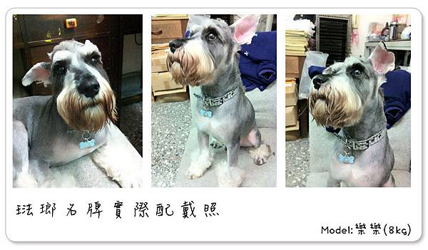 琺瑯名牌實際配戴照