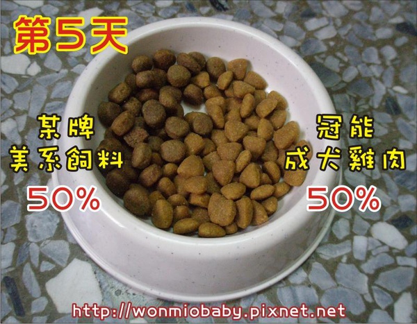 第5天.jpg 第5天.jpg