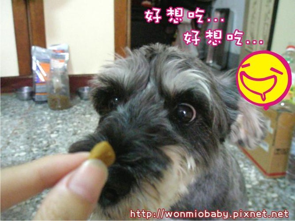 好想吃.jpg 好想吃.jpg