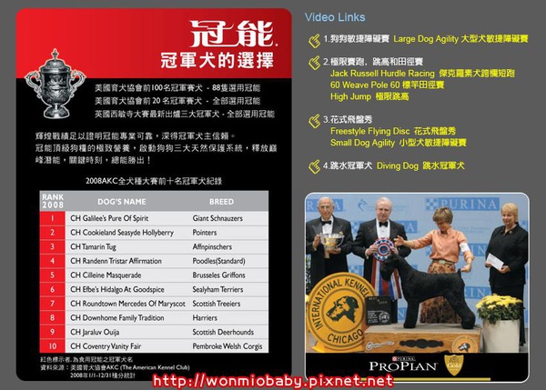 冠軍犬.jpg 冠軍犬.jpg