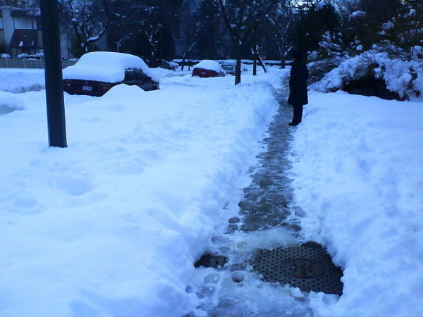 30inch Snow.JPG 30inch Snow.JPG