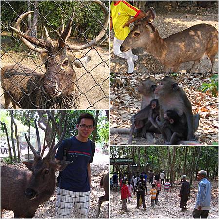 Day7-1.jpg Day7-1.jpg