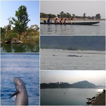 Day10-11.jpg Day10-11.jpg